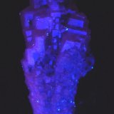 Calcita.
40x25 mm.
(Autor: Jesus Franquesa Baucells)