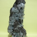 Celestina
26 x 10 cm
(Autor: Pedro Conesa)