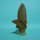 Calcita
7 x 3,5 cm
(Autor: Pedro Conesa)