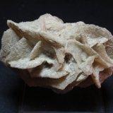 Calcita pseudo Yeso
70x40 mm
(Autor: Ignacio)