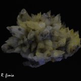 Calcita
4 x 3 cm
(Autor: Ricardo Fimia)