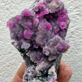 Calcita (variedad calcita cobaltífera), Cuarzo
7,8 x 5,4 x 4,7 cm
(Autor: carles)