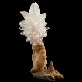 Calcita
18 x 13 x 28 cm / Cristal principal: 6.3 cm
(Autor: Museo MIM)