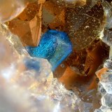 Calcomenita
Campo de visión de 1,5 mm
(Autor: Antonio Carmona)