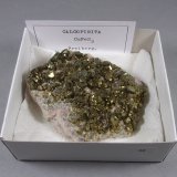 Calcopirita
8 x 7 x 3,2 cm
(Autor: J. G. Alcolea)