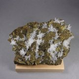 Calcopirita
11,4 x 8 x 2,5 cm.
(Autor: J. G. Alcolea)