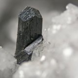 Calcosina
Cristal 0.7 cm
(Autor: Cesar M. Salvan)