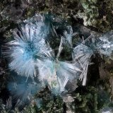 Caledonita.
Campo de visión 1,7 mm.
(Autor: Juan Miguel)
