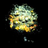 Mimetita (variedad campyllita)
65x45 mm.
(Autor: Jesus Franquesa Baucells)