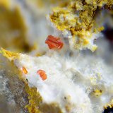 Calderonita
Campo de visión de 1,5 mm.
(Autor: Antonio Carmona)