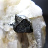 Casiterita sobre cuarzo
Cristal de 0,8 x 0,8 cm.
(Autor: Juan C. Agua)