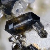 Casiterita
Campo de visión 1,9 mm.
(Autor: Juan Miguel)