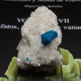 Cavansita
35x50 mm
(Autor: Ignacio)
