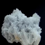 Celestina
Pieza: 4,7x4 cm. Cristales: 1,7 cm .de largos.
(Autor: DAni)