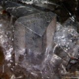Celestina.
3´731 x 3´017 mm.
(Autor: Jesus Franquesa Baucells)