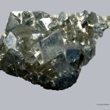 Celestina.
33x19 mm.
(Autor: Jesus Franquesa Baucells)
