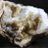 Celestina
65 x 51 x 33 mm
(Autor: José Luis Zamora)