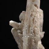 Celestina
22x11 cm
(Autor: Ramon A  Lopez Garcia)