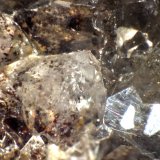 Celestina
44 x 30 x 15 mm.
(Autor: José Luis Zamora)