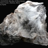 Celestina
92 x 80 x 30 mm
(Autor: José Luis Zamora)