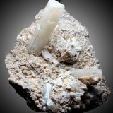 Celestina
73 x 60 x 36 mm
(Autor: José Luis Zamora)