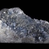 Celestina.
80x50 mm.
(Autor: Jesus Franquesa Baucells)