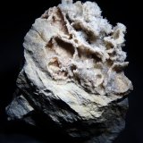 Celestina.
55x45 mm.
(Autor: Jesus Franquesa Baucells)