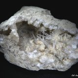 Celestina.
65x40 mm.
(Autor: Jesus Franquesa Baucells)