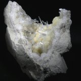 Celestina.
80x70 mm.
(Autor: Jesus Franquesa Baucells)