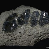 Celestina.
140x100 mm.
(Autor: Jesus Franquesa Baucells)