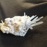 celestina
6cm x 4cm
(Autor: annamaria)