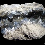 Celestina.
35x30 mm.
(Autor: Jesus Franquesa Baucells)