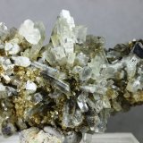 Celestina
80x50x30 mm
(Autor: Juan Espino)