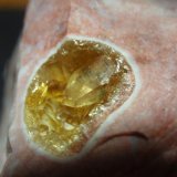 Celestina
13x10 mm.
(Autor: Ignacio)