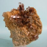 Celestina
6 x 4,5 cm
(Autor: Pedro Conesa)