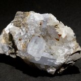 Celestina
7,5x4 cm
(Autor: Ander Ispizua Juan)