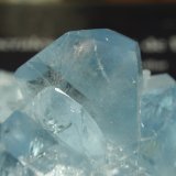 Celestina
80x50 mm
(Autor: Ignacio)