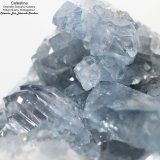 Celestina
8x7x7 cm
(Autor: Luis Edmundo Sánchez Roja)