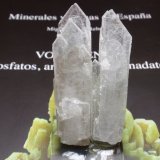 Celestina
15x70 mm
(Autor: Ignacio)
