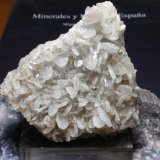Celestina
80x80 mm
(Autor: Ignacio)