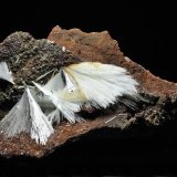 Celestina
Tamaño pieza: 11 x 60 cm.
(Autor: Juan Miguel)
