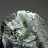 Celestina
110x100 mm
(Autor: Ramon A  Lopez Garcia)