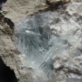 Celestina
70x50 mm
(Autor: Ignacio)