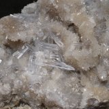 Celestina
12,5x7 cm
(Autor: Ander Ispizua Juan)