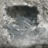 Celestina
3 cm x 3 cm
(Autor: Ramon M R)