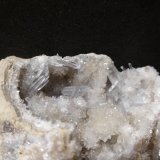 Celestina
12,5x7 cm
(Autor: Ander Ispizua Juan)