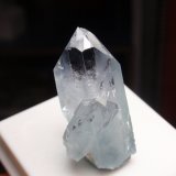 Celestina
10x30 mm
(Autor: Ignacio)