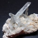 Celestina
35x30 mm
(Autor: Ignacio)
