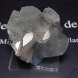 Celestina
40x30 mm
(Autor: Ignacio)