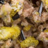 Pseudobrookita
Campo de visión de 2 mm.
(Autor: Antonio Carmona)